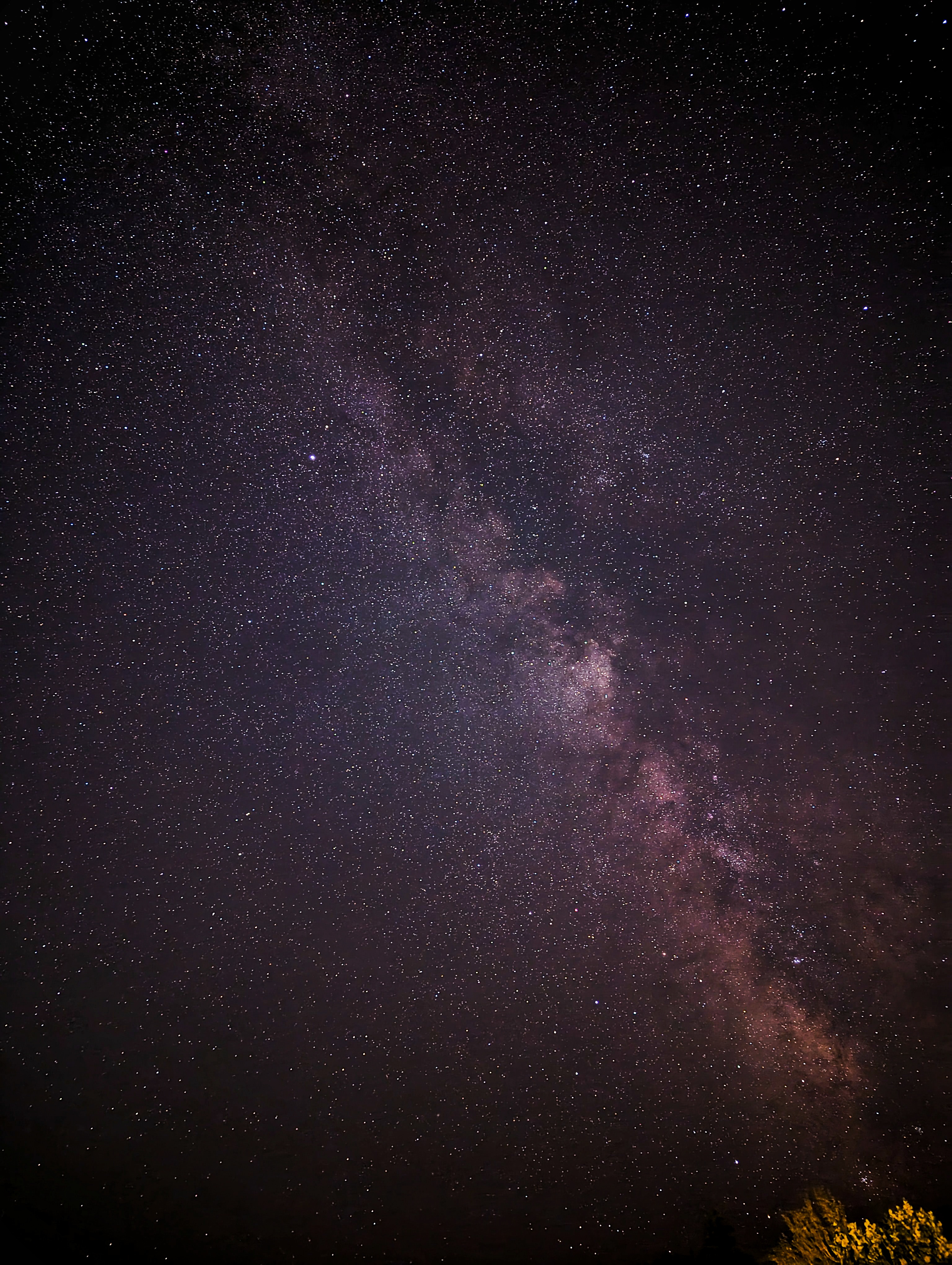 Milky Way Portrait